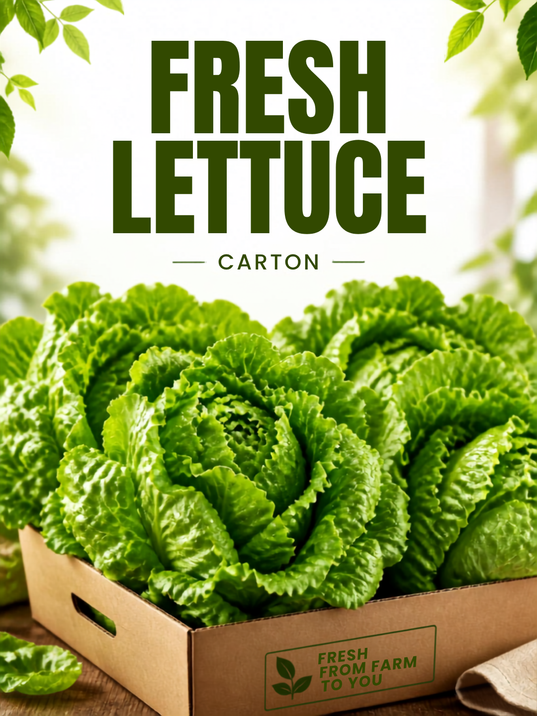 800046 - LETTUCE CTN