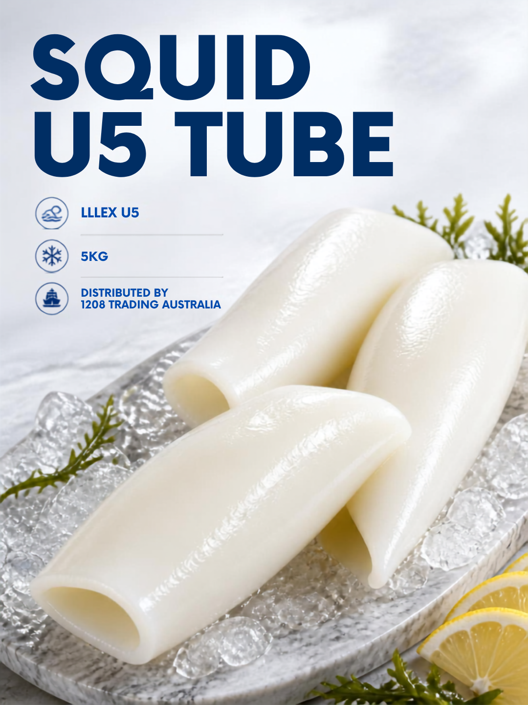 HT029 - SQUID U5 TUBE-LLLEX U5 (5KG)