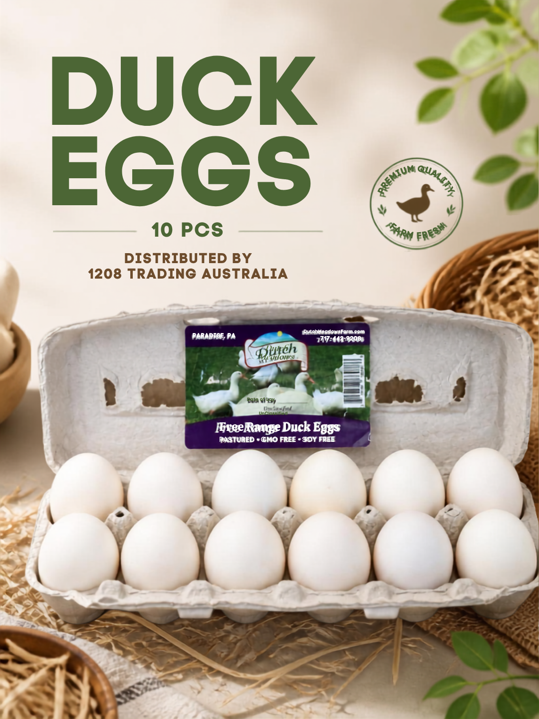 80024 - FRESH DUCK EGGS*10-BNE