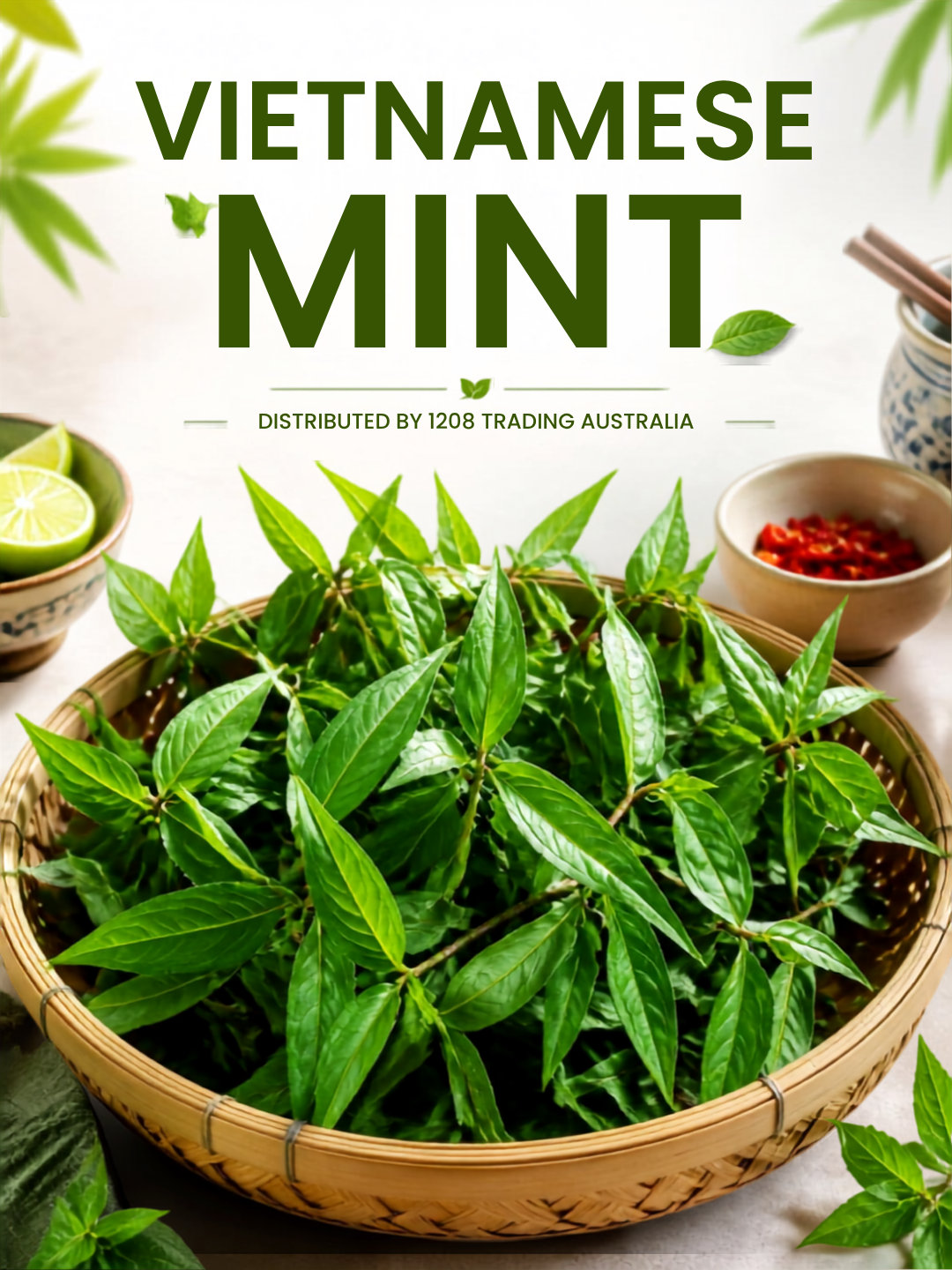 10413 - VIETNAMESE MINT (RAU RAM)