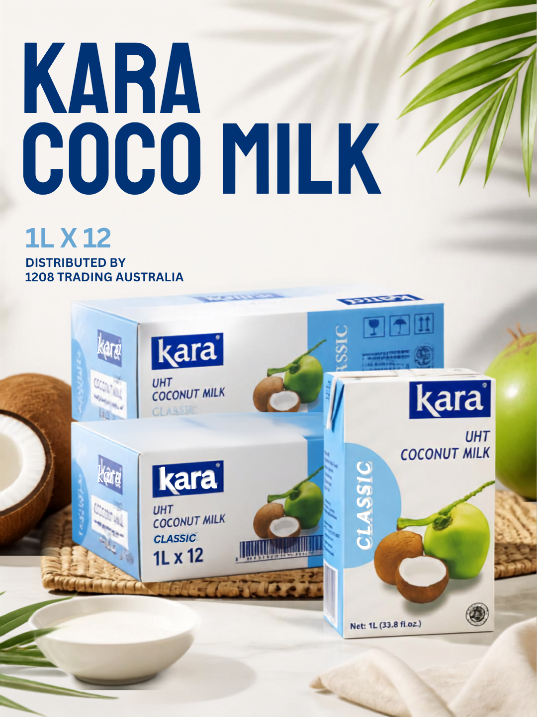 10191 - KARA COCO MILK 1L CTN 12